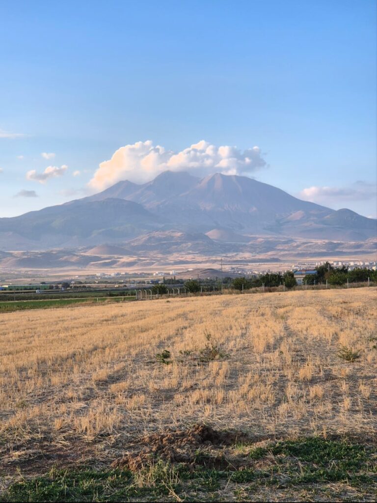 whatsapp bild 2025 10 18 um 17.40.44 52d9f1f3